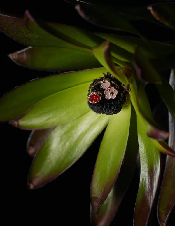 【Photographer AKIHIRO SAKAI】Numéro TOKYO 「lucky ladybug」Van Cleef & Arpels
